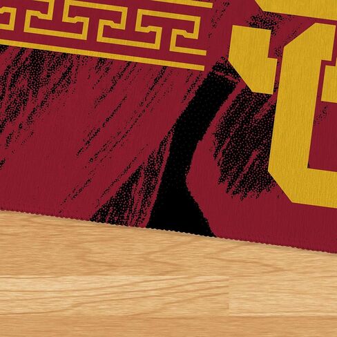 Northwest NCAA USC Trojans, Brushstroke, Washable Rug, 36 x 62 Inches in Saudi Arabia