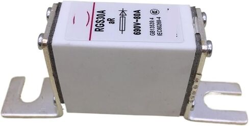 RGS30A 690V 80A Square Tube Hook Fast Fuse Ceramic Fast Fuse 660V in Saudi Arabia