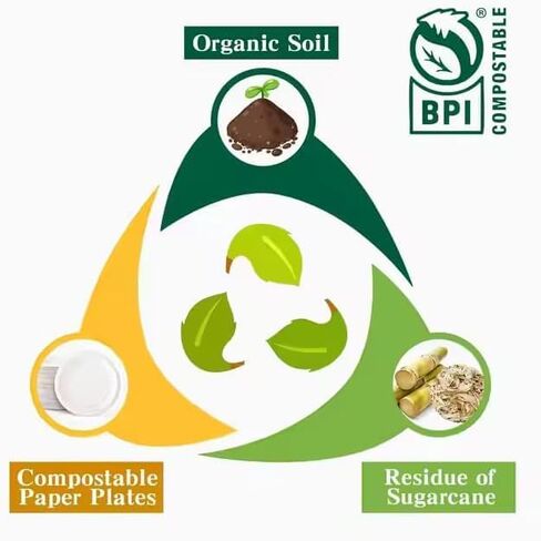 10-Inch Compostable Paper Plates [250-Pack] – Heavy-Duty Disposable Bagasse (Sugarcane Fiber) Plates, Eco-Friendly Biodegradable Dinnerware, Microwave-Safe & Leak-Proof (125, 10 Inch) in Kuwait