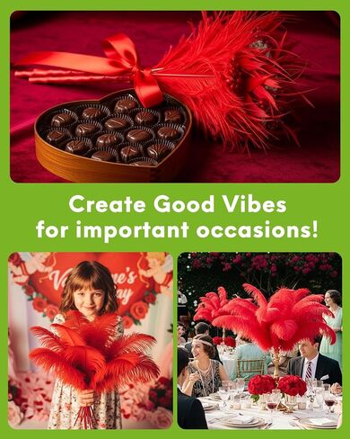 30pcs Black Ostrich Feathers Natural Bulk 8-10inch(20-25cm) Vase Craft Wedding Home Party Centerpieces Christmas Day Decoration in Saudi Arabia