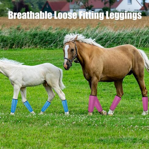 Mesh Horse Fly Boots Set of 4, Breathable Loose Fitting Leggings for Horses, Reduces Stomping & Fatigue, Leg Fly Protection (Blue) in Saudi Arabia