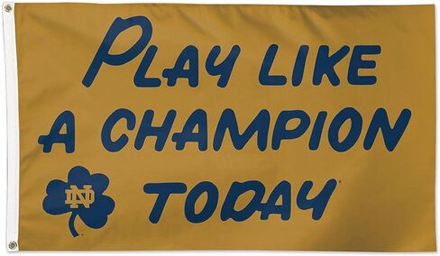 Wincraft NCAA Notre Dame 02283115 Deluxe Flag ، 3 '× 5' in Saudi Arabia