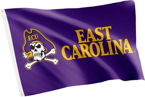 Desert Cactus East Carolina University Flag - 3 × 5 أقدام قراصنة لافتة ، نسيج متين داخلي/خارجي ، تصميم البوليستر 100 ٪ (النمط Q) in Saudi Arabia