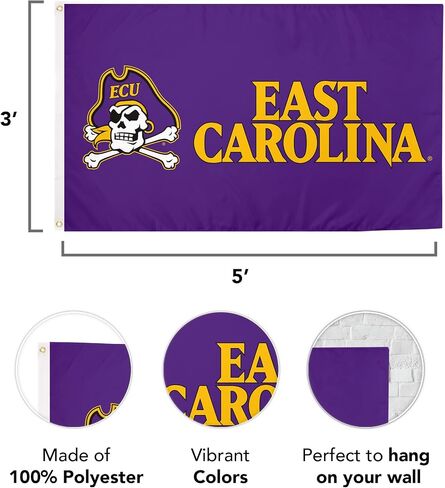 Desert Cactus East Carolina University Flag - 3 × 5 أقدام قراصنة لافتة ، نسيج متين داخلي/خارجي ، تصميم البوليستر 100 ٪ (النمط Q) in Saudi Arabia