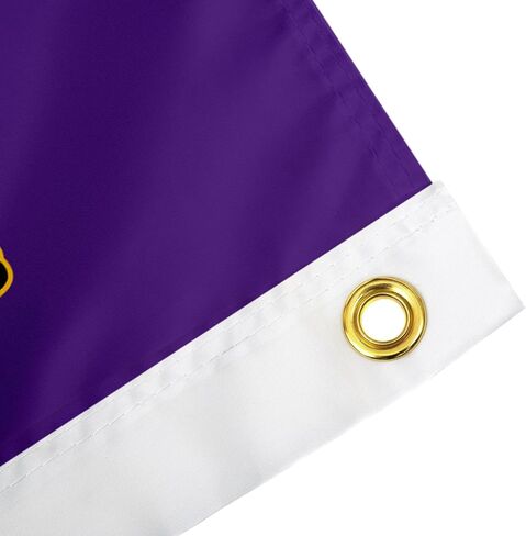 Desert Cactus East Carolina University Flag - 3 × 5 أقدام قراصنة لافتة ، نسيج متين داخلي/خارجي ، تصميم البوليستر 100 ٪ (النمط Q) in Saudi Arabia