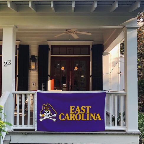 Desert Cactus East Carolina University Flag - 3 × 5 أقدام قراصنة لافتة ، نسيج متين داخلي/خارجي ، تصميم البوليستر 100 ٪ (النمط Q) in Saudi Arabia