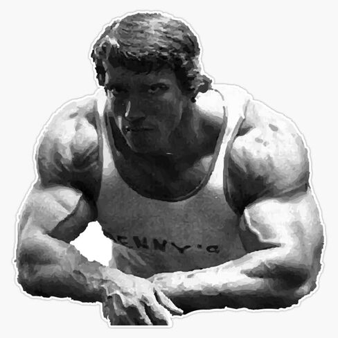 Arnold - Coash Sticker Pumper Sticker Vinyl Decal 5 " in Saudi Arabia
