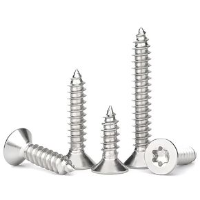 100Pcs Torx/Star Drive Pan Head Self Tapping Wood Screws, 18-8 (304) Stainless Steel, M5 x 16/20/25/30/40mm Sheet Metal Screws Used for Wood, Plastic and Soft Metal. 20 Pieces/each With T25 Bit