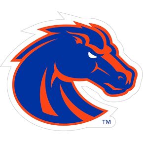 Siskiyou Sports NCAA Boise State Broncos 8 inch Auto Decal, One Size, Team Colors in Kuwait