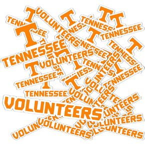 Desert Cactus University of Tennessee UT Knoxville Volunteers Vols Stickers Vinyl Decals Laptop Water Bottle Car Scrapbook T1 (Type 1-1)