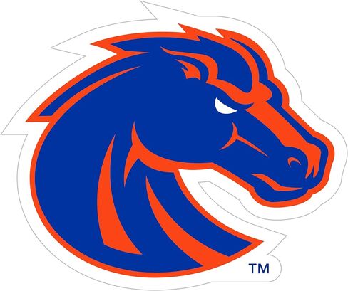 Siskiyou Sports NCAA Boise State Broncos 8 inch Auto Decal, One Size, Team Colors in Saudi Arabia