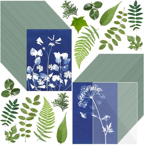 Sun Print Paper Kit Cyanotype Paper, 24 Sheets Cyanotype Papers with 1 Sheet Acrylic Panel, High Sensitive Nature Sun/Solar Activated Sun Printing Art Paper for Arts Crafts DIY Project in Kuwait