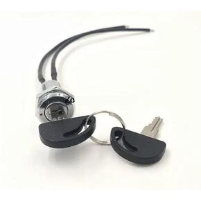 735 Key Switch Power Lock Electronic Lock 2A 125AC Hole 16mm Double Plug 2 Feet with 15cm Wire 1Pcs in Saudi Arabia