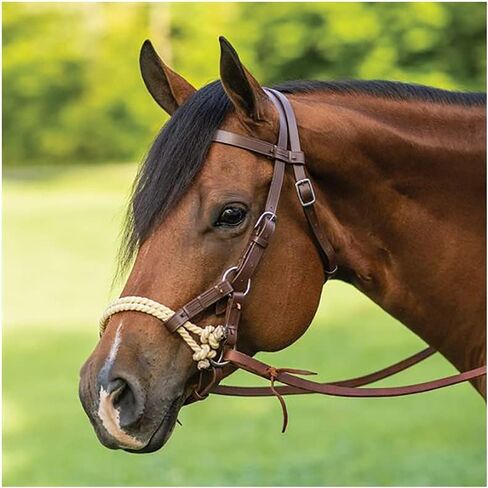 Double S Double Rope Side Pull | Ideal for Sensitive Horses | Double Lariat Rope for Leverage | Grade A Single Ply Leather | Adjustable Cheeks, Curb, and Throatlatch | Classic Browband Design in Saudi Arabia