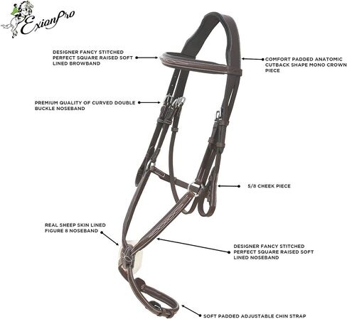 Exion Jumping Horse Bridle | Anatomical Figure 8 Bridle with Fancy Stitching & Padded Grackle Noseband | Rubber Grip Reins & SS Hadrware | English Tack for Equestrian Show & Training in Saudi Arabia