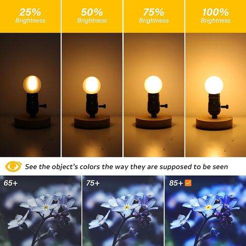 Dimmable E26 G16.5 مصباح LED LED 40W على قدم المساواة 4W مصابيح LIGHT LIGHT FROSTER ، المصابيح الصغيرة المستديرة من نوع G لمبة ضوء للثريا ، قلادة ، الغرور ، أبيض دافئ 2700 كيلو متر ، حزمة 6 in Kuwait