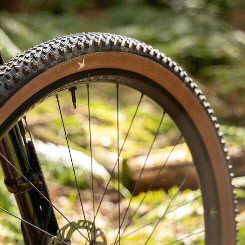 Schwalbe Rick XC Pro TLR Folding Tyre in Saudi Arabia