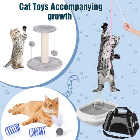 مجموعة eccliy chinten starter kit ، 10 قطعة طقم كات للقطط الداخلية القطط الأساسية تشمل صندوق القمامة ، ألعاب الحيوانات الأليفة ، حاملة قابلة للطي ، إطار التسلق ، حصيرة ، ذوي الياقات البيضاء ، القوس التلقائي (الأزرق) in Kuwait