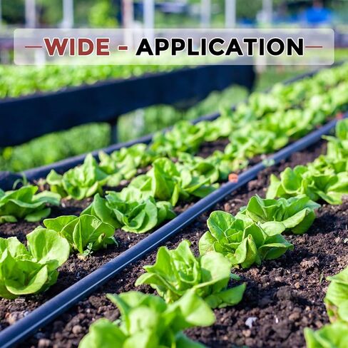 Pack of 4 Plastic Hose Barb Fittings 25/64" Hose Barb to 1/2" g Female Fittings in Kuwait