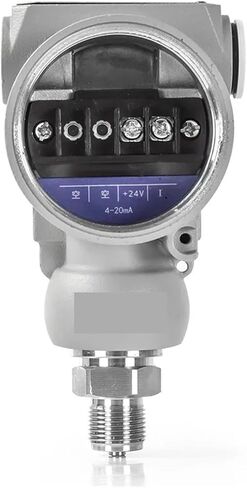 مستشعر الضغط هواء الماء لزيت LCD مرسل الضغط 0-60MPa إلى 4-20MA RS485 G1/4 محول مستشعر الضغط (شاشة RS-485 LCD ، 0-40MPA) in Saudi Arabia