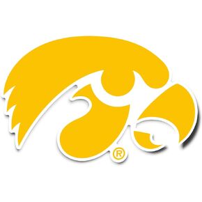 Desert Cactus University of Iowa Hawkeyes Vinyl Decal Laptop Water Bottle Car Scrapbook Sticker (IND 5)