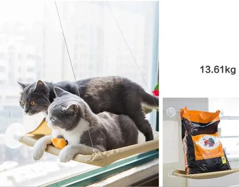 Cat Hammock Cat Window Perch for Large Cat Safety Bed Space Saving Resting Cats Suction Cups Hammock for Indoor Holds Up to 30lbs，360° Sun Bathing in Kuwait