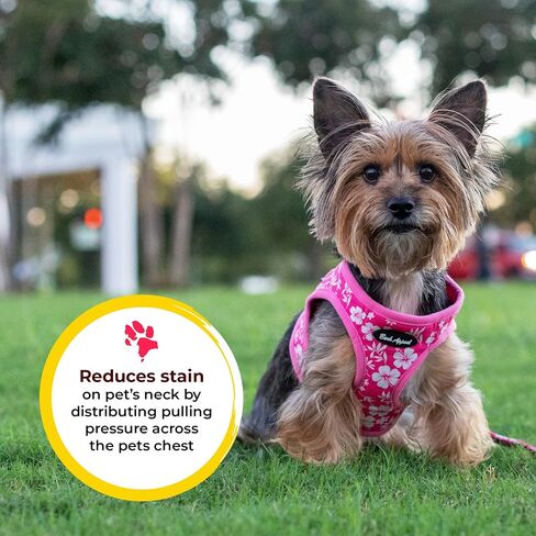Orange Solid Step-in Dog Harness by Bark Appeal, Mesh Vest Harness for Dogs, Non-Choking with Adjustable Heavy-Duty Buckle for Safe, Secure Fit in Saudi Arabia