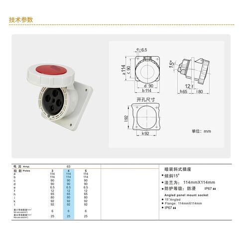 TYP3919 Industrial Plug Concealed Slanted Socket 63A 4-core IP67 in Saudi Arabia