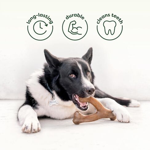 Benebone Natural Rubber Tug Interactive Dog Toy, Natural Rubber in Saudi Arabia
