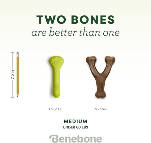 Benebone Natural Rubber Tug Interactive Dog Toy, Natural Rubber in Saudi Arabia