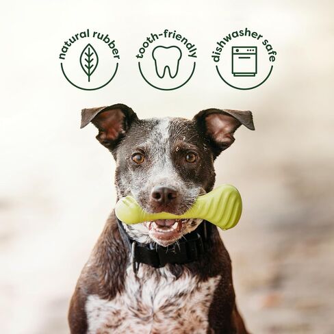 Benebone Natural Rubber Tug Interactive Dog Toy, Natural Rubber in Saudi Arabia