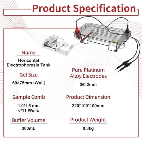 Multi-Functional Horizontal Electrophoresis Tank, 120×120mm Large Gel, 700mL Buffer Volume Electrophoresis System for Lab Biology in Kuwait