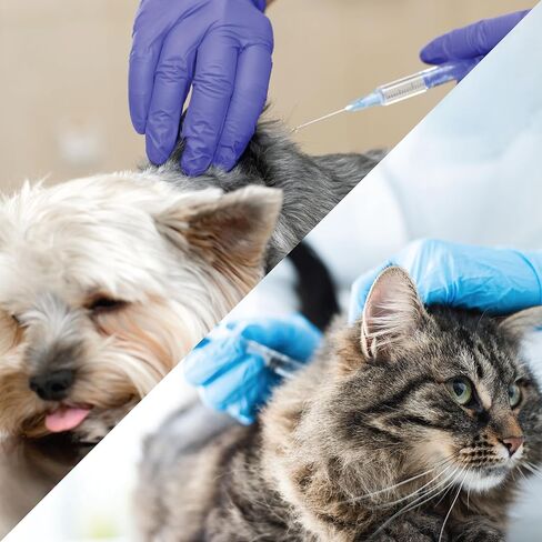 U-100 Pet Insulin Syringes & Needles, Comfortable & Accurate Dosing, Compatible w/Any U-100 Strength Insulin, 100 Count (3/10mL, 30G x 5/16in) in Kuwait