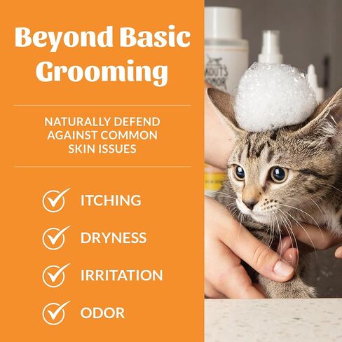 SKOUT'S HONOR: Cat Probiotic Shampoo + Conditioner for a Healthier Skin and Coat - Honeysuckle, 16 oz. in Kuwait