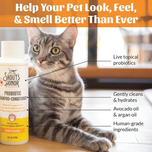 SKOUT'S HONOR: Cat Probiotic Shampoo + Conditioner for a Healthier Skin and Coat - Honeysuckle, 16 oz. in Kuwait