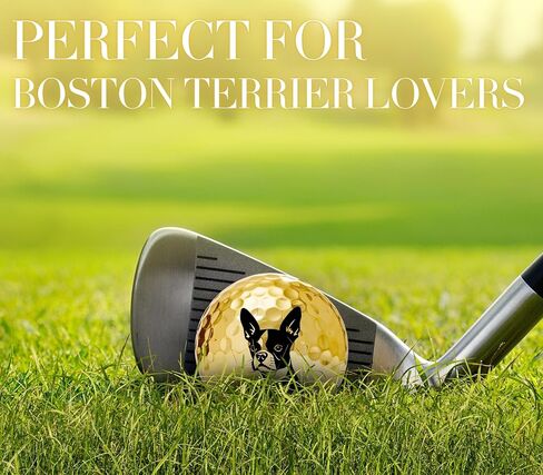 Boston Terrier Golf Gifts for Boston Terrier Lovers, Boston Terrier Gifts for Men/Women, Golf Balls Set, Perfect Boston Terrier Idea for Male/Female on Birthday, Christmas - Gold in Saudi Arabia