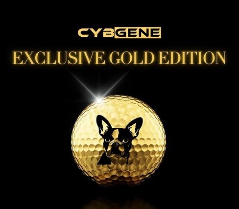 Boston Terrier Golf Gifts for Boston Terrier Lovers, Boston Terrier Gifts for Men/Women, Golf Balls Set, Perfect Boston Terrier Idea for Male/Female on Birthday, Christmas - Gold in Saudi Arabia
