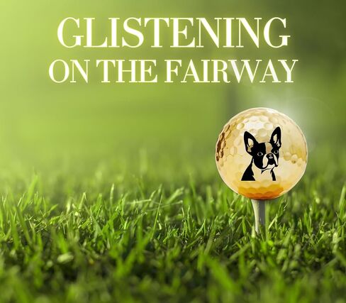 Boston Terrier Golf Gifts for Boston Terrier Lovers, Boston Terrier Gifts for Men/Women, Golf Balls Set, Perfect Boston Terrier Idea for Male/Female on Birthday, Christmas - Gold in Saudi Arabia