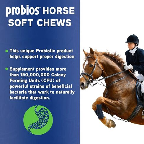 Probios Horse Soft Chews, Apple flavor, Net Weight 1.32 lbs(600 grams) in Saudi Arabia