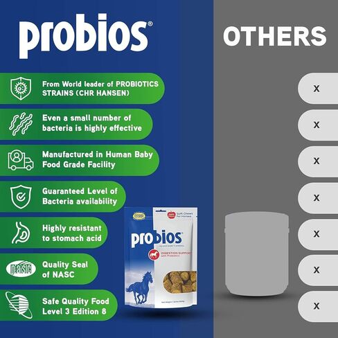 Probios Horse Soft Chews, Apple flavor, Net Weight 1.32 lbs(600 grams) in Saudi Arabia