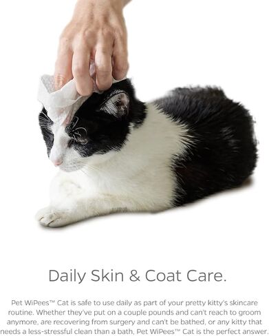 Pet Parents® Pet WiPees™ Gland, Dog Wipes for Paws & Butt, Cat & Dog Butt Wipes, Dog & Cat Gland Cleaning Wipes in Kuwait