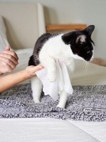 Pet Parents® Pet WiPees™ Gland, Dog Wipes for Paws & Butt, Cat & Dog Butt Wipes, Dog & Cat Gland Cleaning Wipes in Kuwait