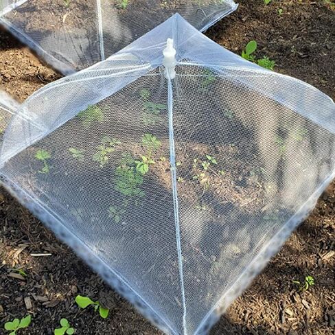 (6 Pack) Pop-Up Outside Picnic Mesh Food Covers Tent Umbrella for Outdoors and Camping Food Net Cover Keep out Flies Mosquitoes Ideal for Parties BBQ, Reusable and Collapsible 17 x 17inches in Saudi Arabia