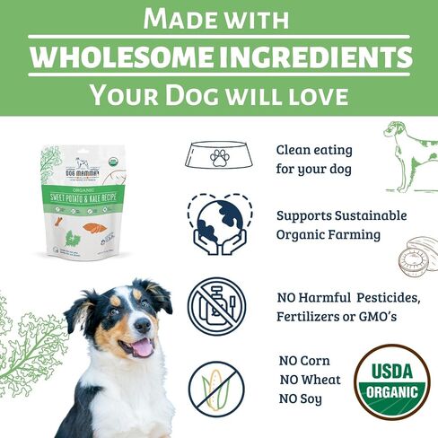 Dog Mamma's Organic Blueberry Banana Coconut Dog Treats 4 Pack - Certified Organic in Kuwait