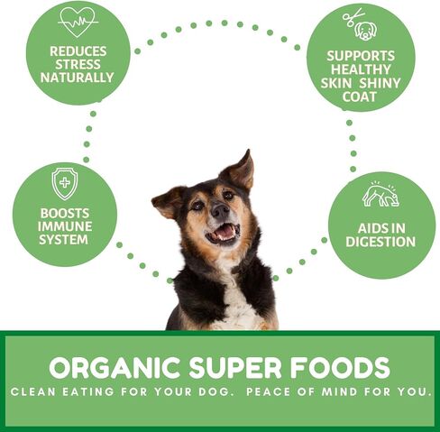 Dog Mamma's Organic Blueberry Banana Coconut Dog Treats 4 Pack - Certified Organic in Kuwait