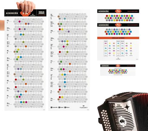 ملصق Learning Button Accordion مع الحبال والمقاييس والملاحظات ، دليل مرئي مع ألوان للمبتدئين والوسطيات ، يتضمن ملصقات الملاحظات (F/BB/EB)) in Saudi Arabia