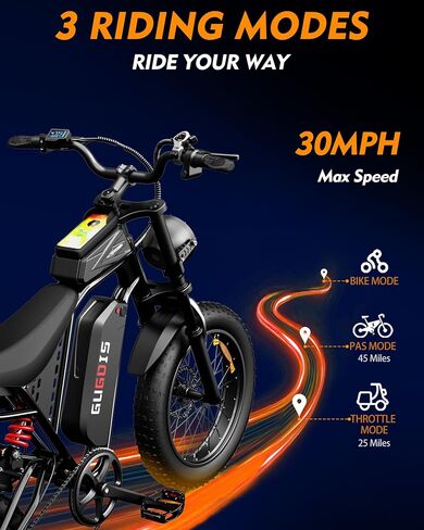 Electric Bike for Adults, 20''*4.0'' Fat Tire 1000W Peak Ebike, Up to 45 Miles 30MPH Mountain Ebike with 48V15.6Ah/374.4WH Removable Battery, Dual Disc Brakes Dirt E-bike Center shock absorber 7-Speed in Saudi Arabia