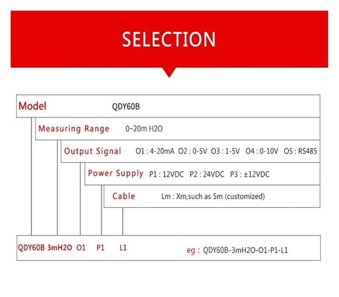 High Temperature Diesel Fuel Tank Sensor 0-10V 4-20mA Output Submersible Liquid Level Transmitter(5m Range 5m Cable,RS485) in Saudi Arabia