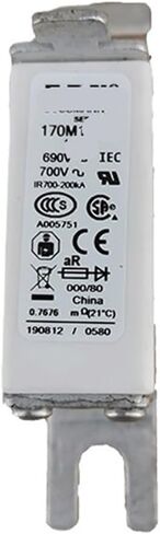170M5500 170M5508 170M5509 170M5510 Ceramic Fuse(170M5509) in Saudi Arabia