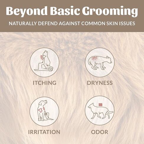 SKOUT'S HONOR: Probiotic Pet Shampoo & Conditioner - 2-in-1 with Avocado Oil - Cleans and Conditions Fur, Supports Pet’s Natural Defenses, PH-Balanced, Sulfate-Free - Lavender - 16 oz. in Saudi Arabia